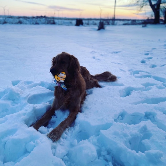 Meet your Posher, Katie - Picture 5 of 9